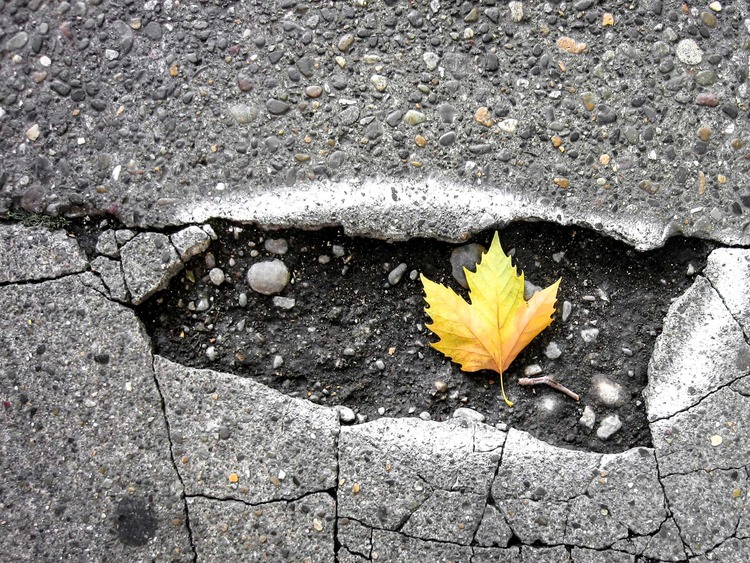 Ian Taylor C Zokzzl C3 Km Unsplash